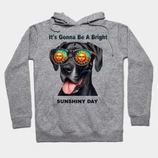 It's Gonna Be a Bright SunShiny Day Hoodie